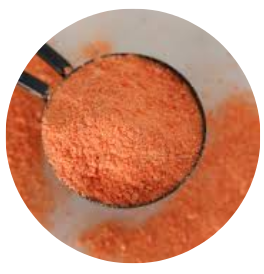 Carrot Powder