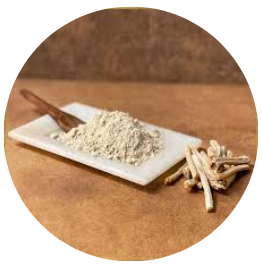 Shatavari Powder