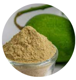Aamchur Powder