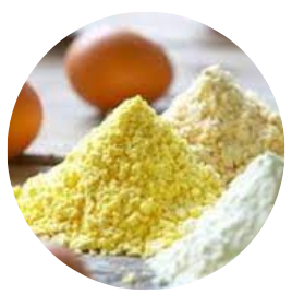 Egg Powders